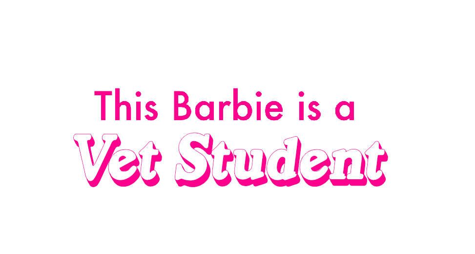 vet barbie